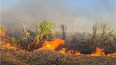 حريق هائل في زراعات بطريق قنا - قفط