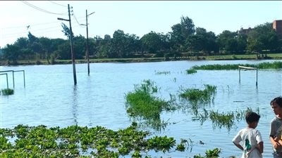 القوارب وسيلة الذهاب إلى المدارس، النيل يغمر شوارع جزيرة داوود بالمنوفية (صور)