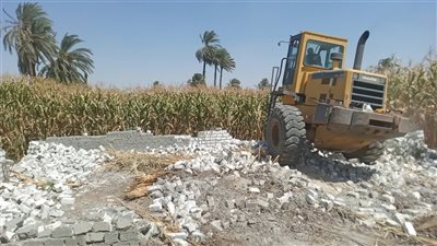 إزالة 53 حالة تعد بالبناء المخالف ضمن الموجة الـ27 بأسيوط