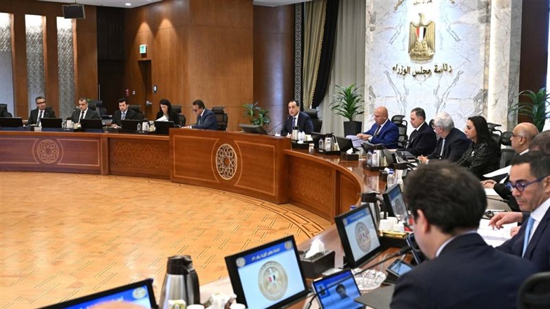 مجلس الوزراء، فيتو