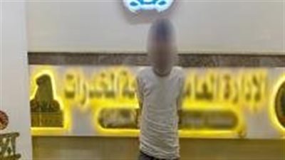 ضربة أمنية استباقية، ضبط أسلحة نارية وطن مخدرات بـ 129 مليون جنيه
