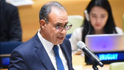 وزير الخارجية: مصر تسعى لتحقيق عالمية معاهدة عدم الانتشار النووي