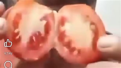 وزير الزراعة يكشف حقيقة رش الطماطم بالمواد الكيميائية وسبب اللون الأبيض