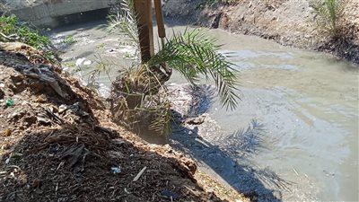 حملات تطهير للترع والمصارف لتسهيل وصول المياه للمزارعين بأسيوط