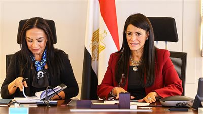 المشاط: تطبيق منظومة 