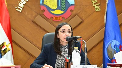 محافظ البحيرة: نواصل نجاحنا في القضاء على السحابة السوداء