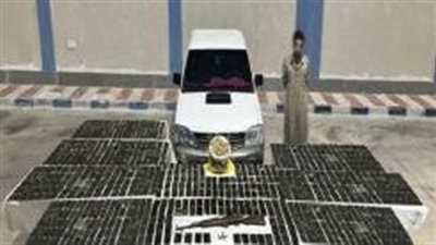 الداخلية تضبط مخدرات وأسلحة بقيمة 136 مليون جنيه خلال حملات أمنية