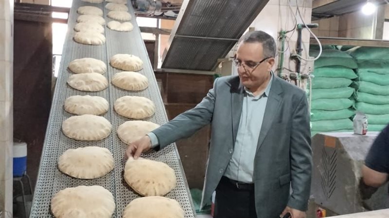 حملات تموينية بالدقهلية،