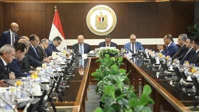 نائبا رئيس الوزراء يشهدان اجتماع الهيئة المصرية للشراء الموحد