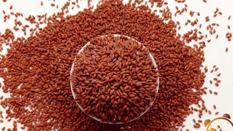 فوائد حب الرشاد،