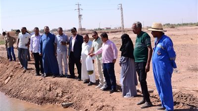 بدء تنفيذ مشروع الاستزراع السمكي في مدينة بلاط بالوادي الجديد