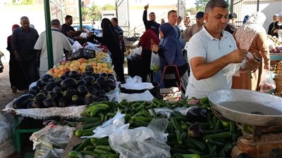 أسواق شعبية ومشروعات خدمية في واحات الوادي الجديد