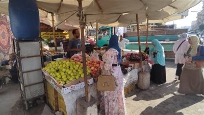 الطماطم بـ17.5، الوادي الجديد تطرح سلعًا بأسعار مخفضة عبر منافذ بواحة الخارجة