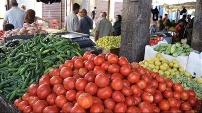 الطماطم تسجل 25 جنيها، أرتفاع أسعار الخضروات بأسواق محافظة البحيرة (فيديو)