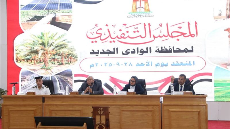 مجلس تنفيذي الوادي