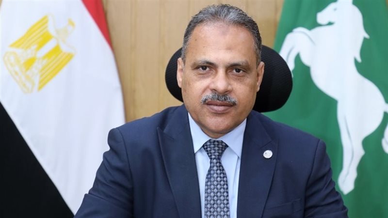  محافظ الشرقية