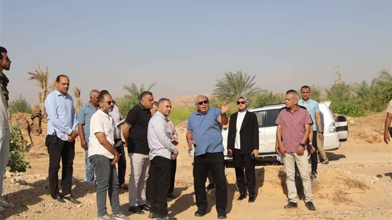 محافظ الوادى الجديد