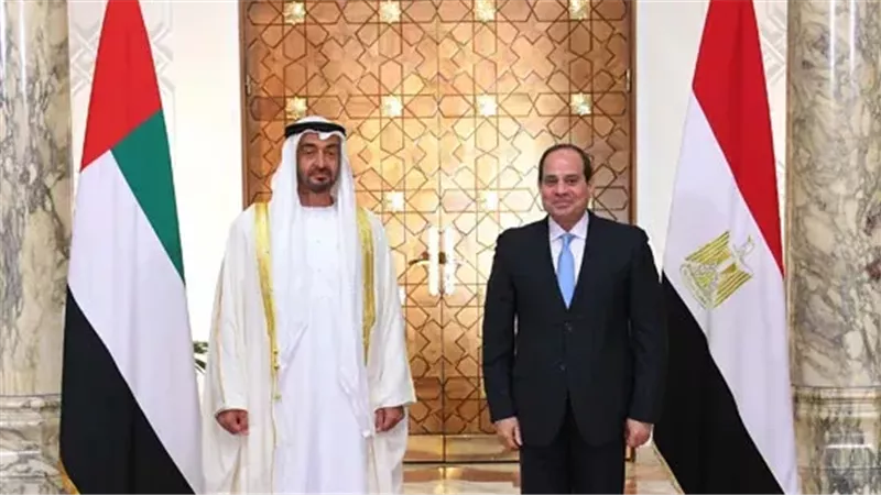 الرئيس عبد الفتاح