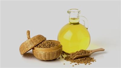 زيت الحلبة سر طبيعي للصحة والجمال 