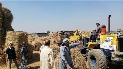 التحفظ على 55 طنًا من المخلفات الزراعية بمواقع مخالفة بالدقهلية