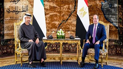 استقبال رئيس الإمارات الأبرز، نشاط السيسي في أسبوع