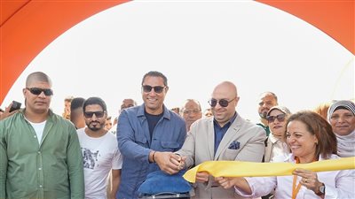  1.3 مليون طن صادرات البطاطس خلال 8 أشهر في 2025