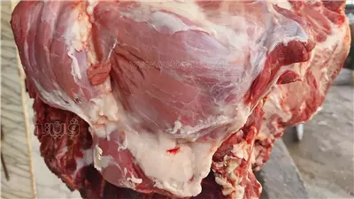 ارتفاع يصل لـ 10 جنيهات في أسعار اللحوم بالأسواق اليوم الثلاثاء