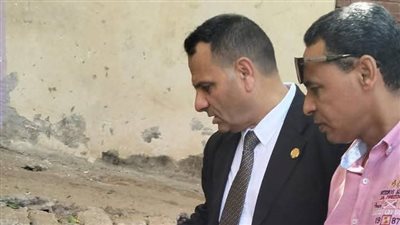 حملات تموينية مكبرة ببرج العرب في الإسكندرية