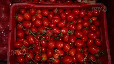 انخفاض أم ارتفاع، أسعار الطماطم اليوم الأربعاء بأسواق التجزئة