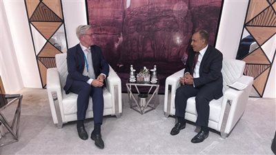 وزير الخارجية يشدد على ضرورة ممارسة الشعب الفلسطيني حقه في تقرير المصير وإقامة دولته المستقلة