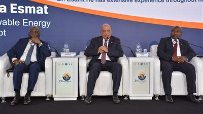وزير الكهرباء: ملتزمون بقيادة مستقبل الطاقة في أفريقيا 