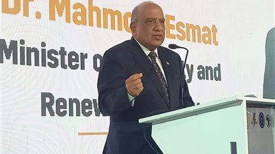 وزير الكهرباء: لدينا تجربة ناجحة في قطاع الطاقة ومستعدون لمشاركتها مع الأشقاء الأفارقة