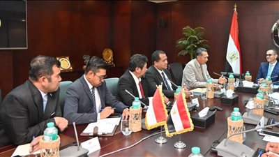 وزير الاستثمار: مصر ماضية قدما في تعزيز بيئة الأعمال 