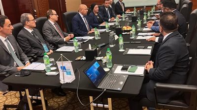 التمثيل التجاري: شركة إماراتية تستثمر مليار دولار بمجال إدارة محطات الحاويات بمصر