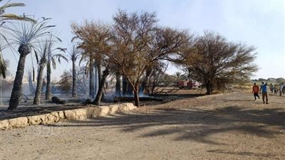 حريق يلتهم مزرعة نخيل بواحة الداخلة في الوادي الجديد