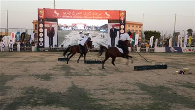 محافظ القاهرة يشهد انطلاق فعاليات مهرجان الخيول العربية في دورته الـ 29 (صور)