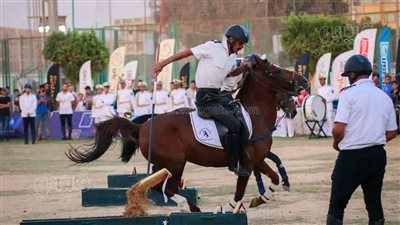 ليالي الشجعان تفوز بلقب أجمل مهرة أقل من سنة بمهرجان الشرقية (فيديو وصور)