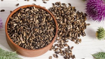 فوائد بذور الشوك، تعزز صحة الكبد وتحمى من أمراض القلب 