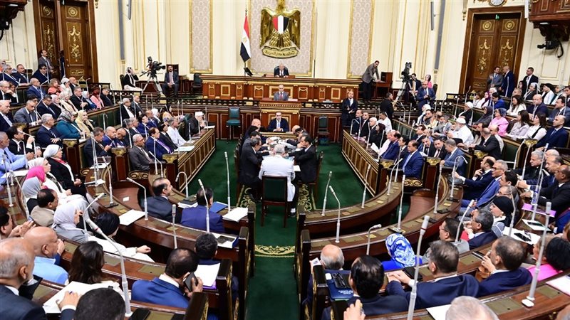مجلس النواب، فيتو