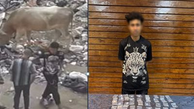 فيديو يقود الشرطة لضبط ديلر مخدرات في شبرا الخيمة 