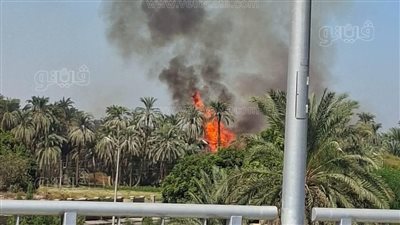 السيطرة على حريق محدود شب في مخلفات بمحيط معابد الكرنك بالأقصر 