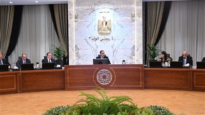 رئيس الوزراء يتابع موقف برنامج الطروحات الحكومية