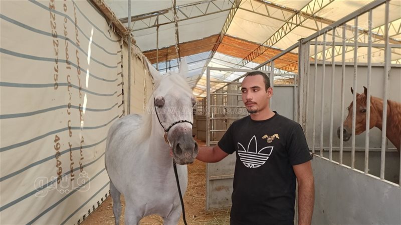 احد مربي الخيول العربية