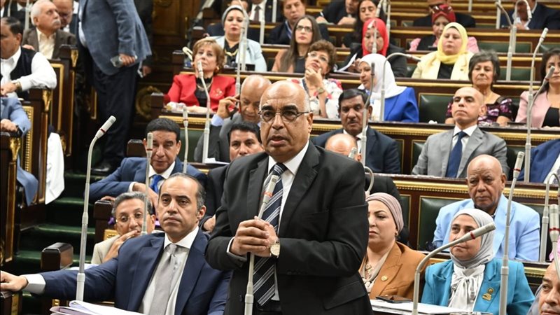 وزير العدل أمام جلسة