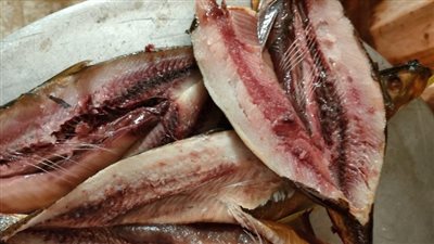 مصادرة طن أسماك مملحة غير صالح للاستهلاك بالمنوفية