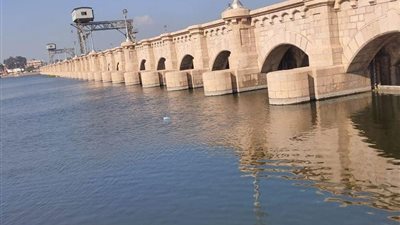 لمواجهة ارتفاع منسوب النيل، حصر أراضي طرح النهر على فرع رشيد بالبحيرة 
