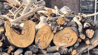 مهنة الأجداد ومصدر رزق الأحفاد، قرية البوصيلي قلعة صناعة الفحم في البحيرة (فيديو وصور) 