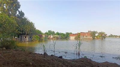 المنوفية أول محافظة تتضرر من فيضان النيل (فيديو جراف)