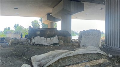 بعد غرق منازل وأراضي طرح النهر في أشمون، الأهالي: أقمنا خيامًا أسفل الطريق الإقليمي (فيديو)