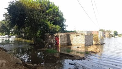 ري الشرقية تنفي غرق أراضي طرح النهر بسبب فيضان النيل 